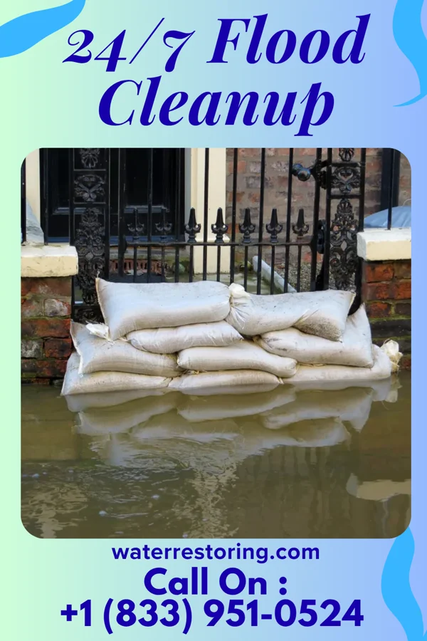 24/7 Flood Cleanup in Three Rivers, MI