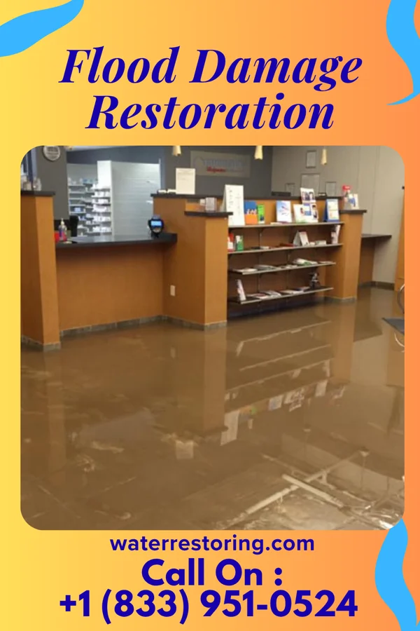 Flood Damage Restoration in Three Rivers, MI